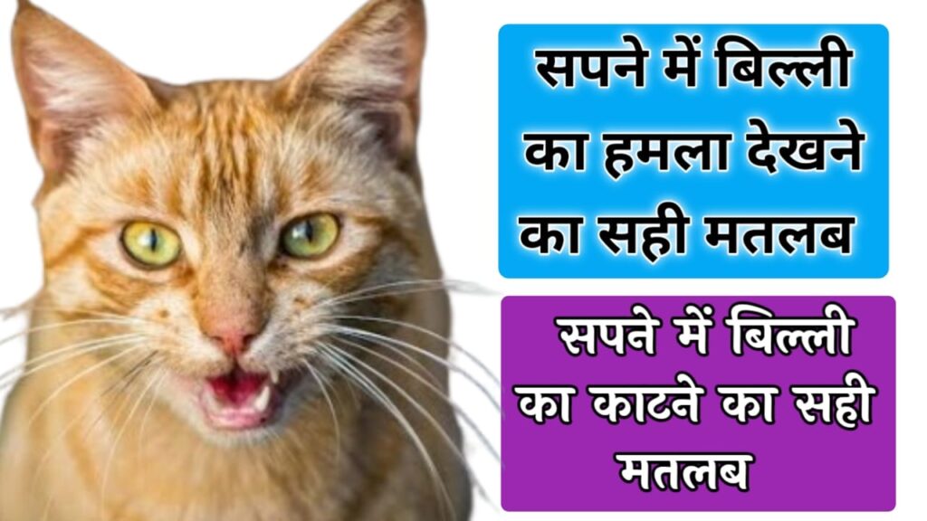 सपने में बिल्ली का हमला करना sapne me billi ka hamla karna . सपने में बिल्ली का काटना शुभ या अशुभ