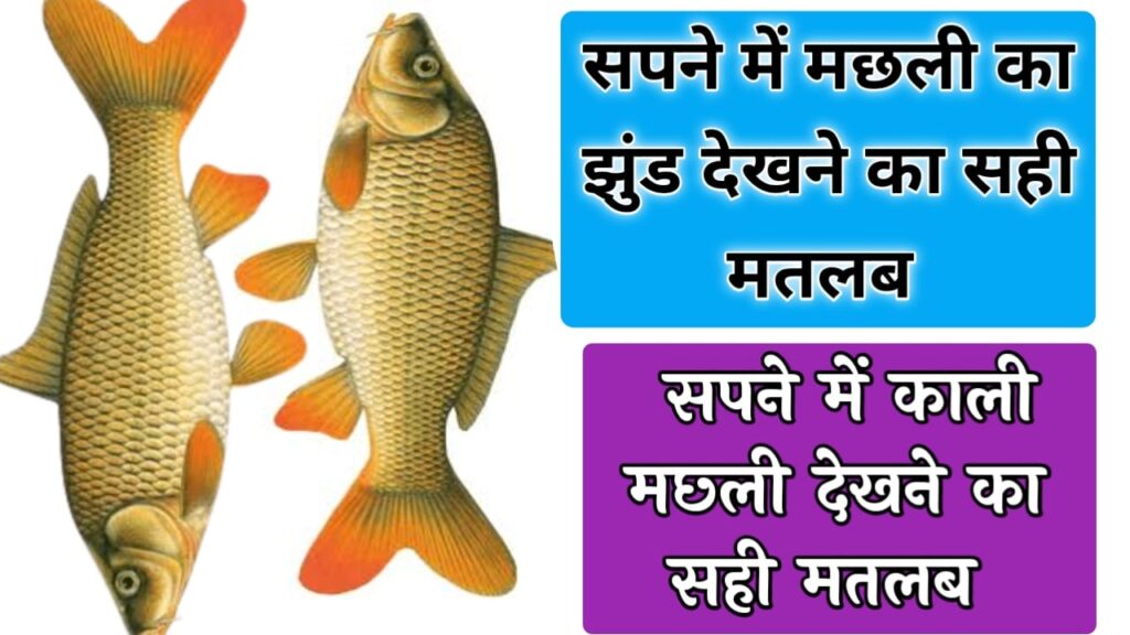 सपने में मछली का झुंड देखना sapne mein machhali ka jhund dekhna . सपने में काली मछली देखना
