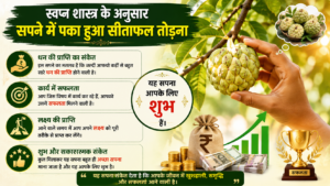 Read more about the article सपने में पका हुआ सीताफल देखना sapne mein paka hua sitafal dekhna